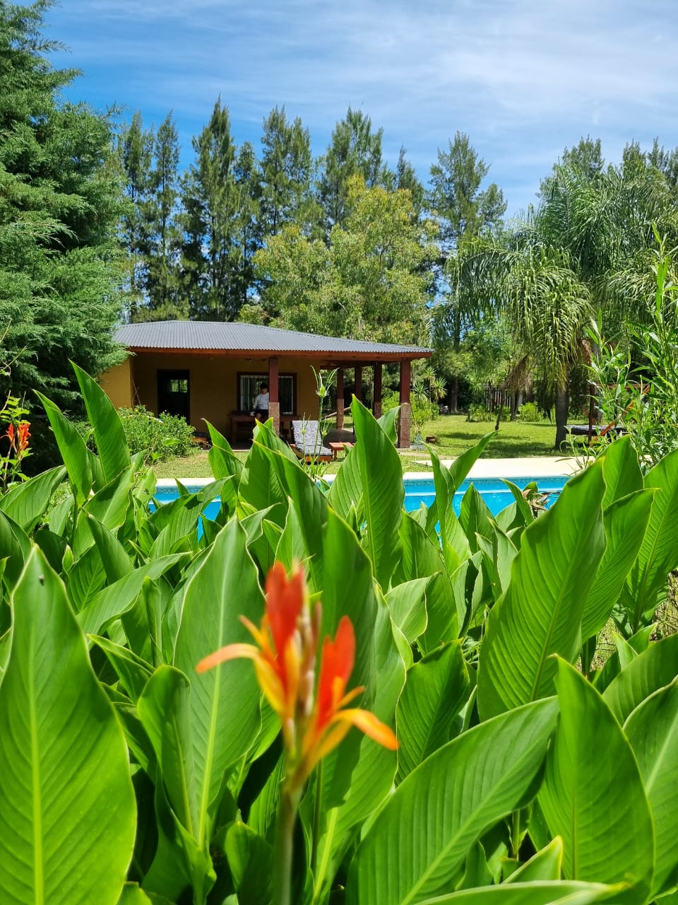 Quinta ElFaro — foto 2