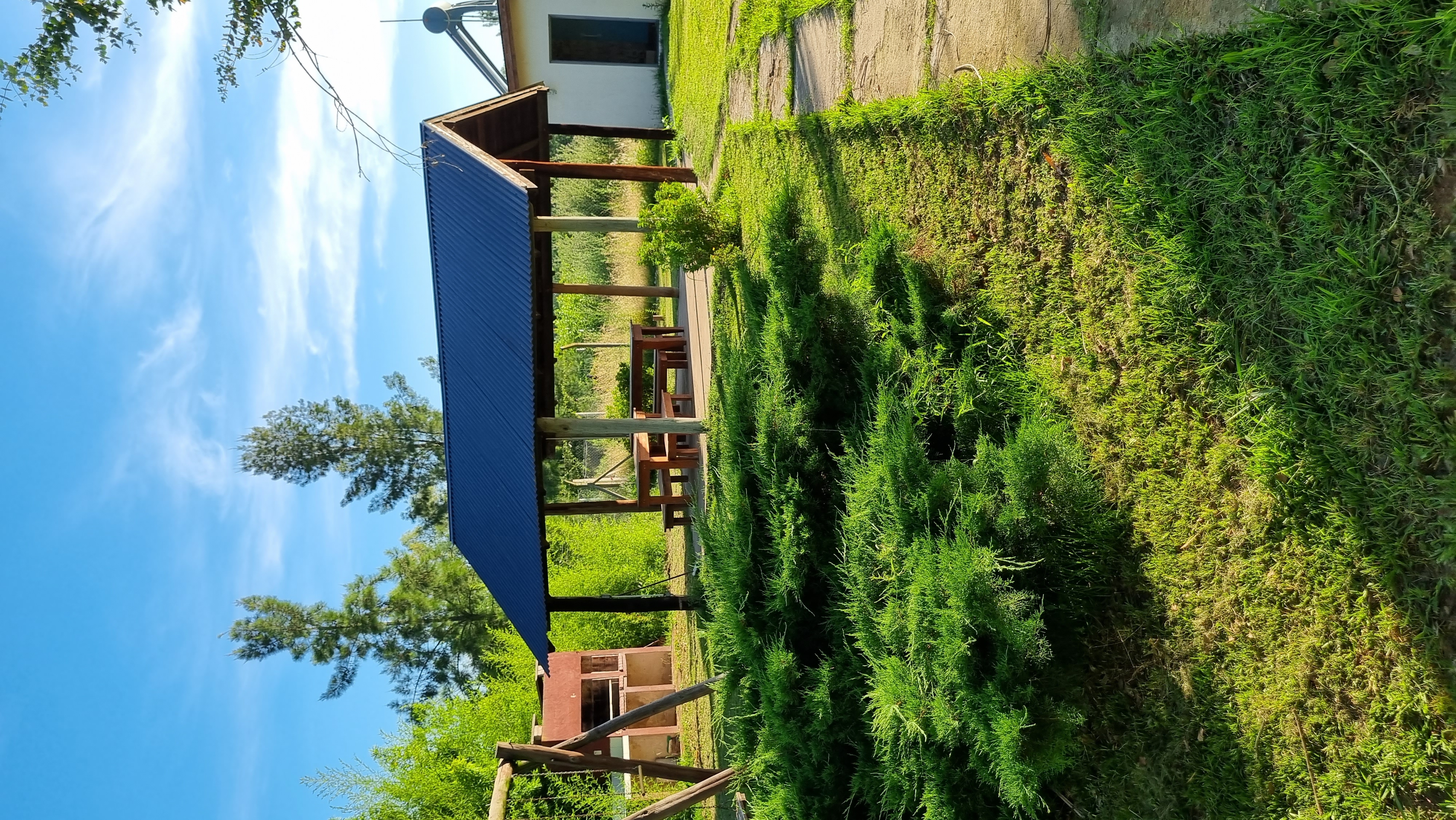 Quinta Las Margaritas — foto 2