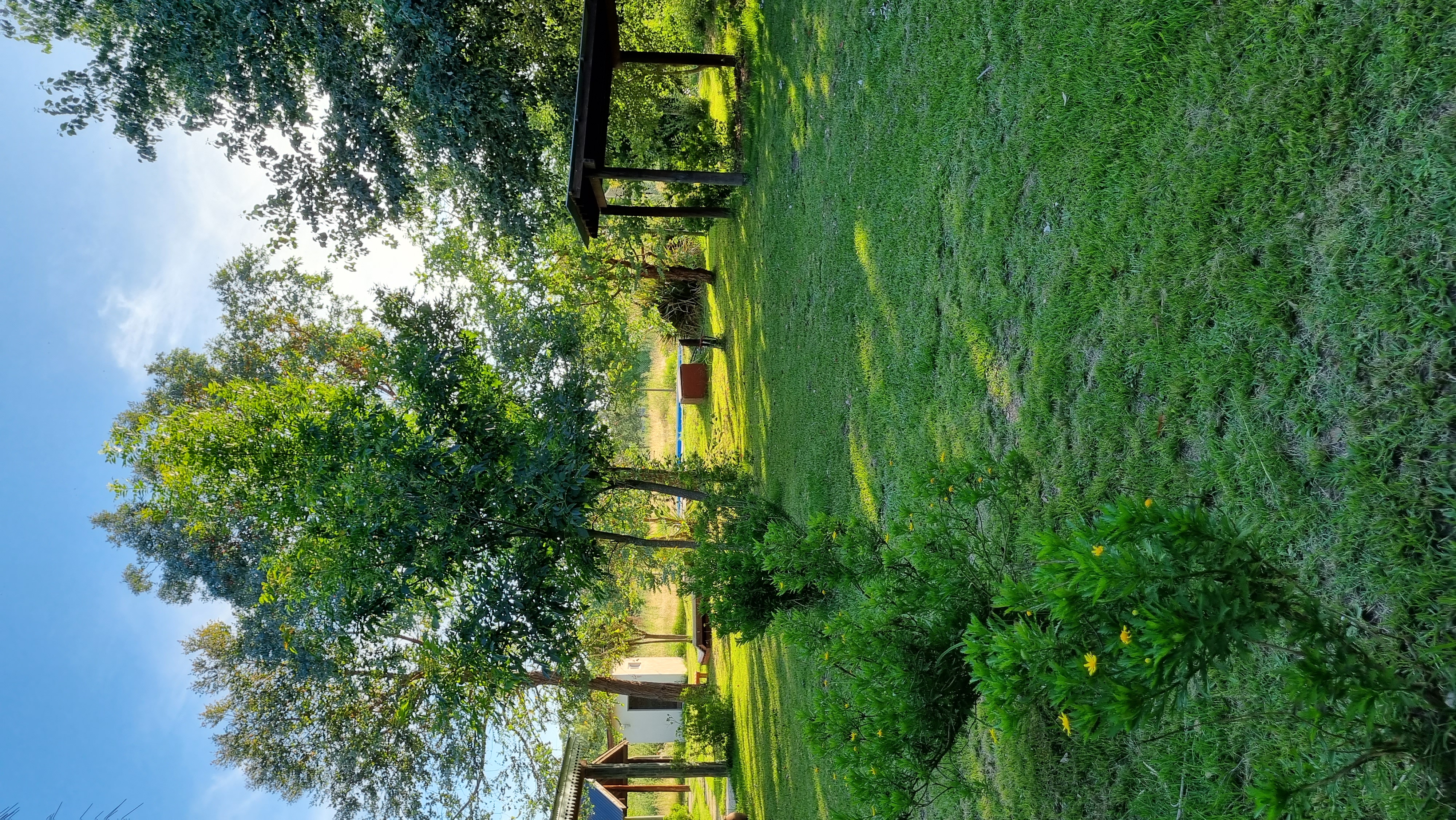 Quinta Las Margaritas — foto 3