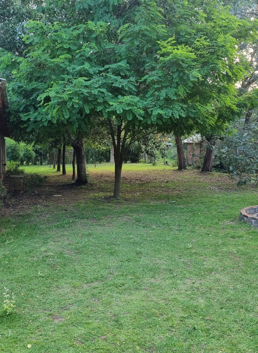 Quinta Alquimia — foto 4