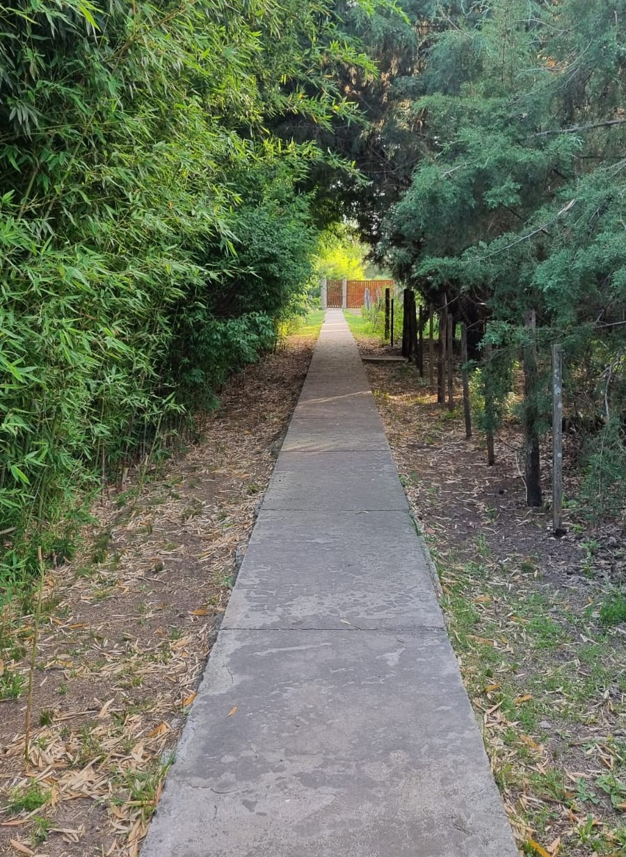 Quinta Alquimia — foto 6